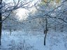 henon360_neige (117).JPG - 